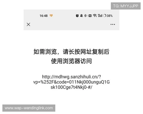 问鼎cn浏览器入口官网特色功能介绍，满足不同用户的个性化浏览需求