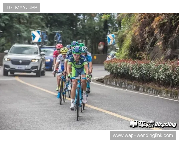 问鼎体育：最新体育科技应用助力运动员问鼎世界顶尖水平的实用指南